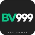 bv999